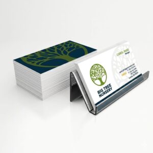 المطبوعات المؤسسية الأساسية